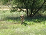 Namibia, Hochzeit, Reise, Bilder, Fotos - img_6379.jpg